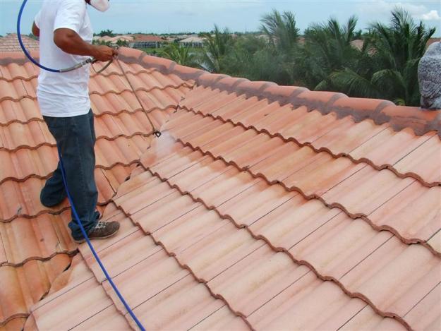 Roof Cleaning Services in Pineville LA