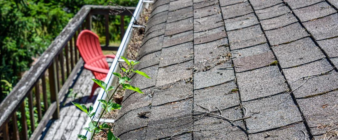 5 Major Roofing Problems Faced by Homeowners