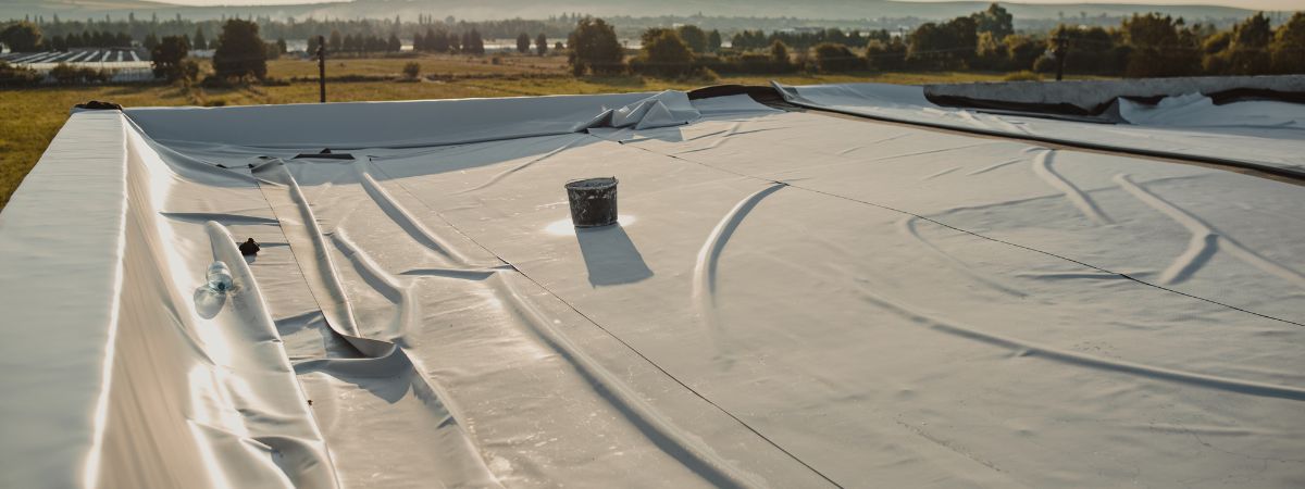 Tppf Rafters 7 Things You Need To Know About Thermoplastic (TPO) Roofs
