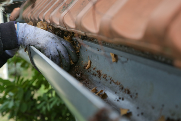 Gutter Maintenance - Cleaning the gutter from autumn leaves